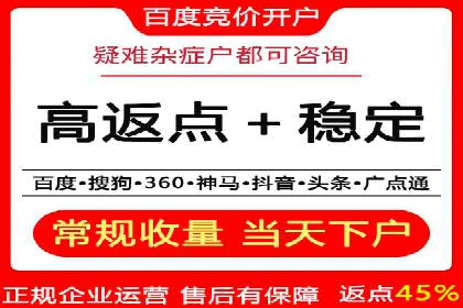 百度推广广告案例：快速抢占市场份额